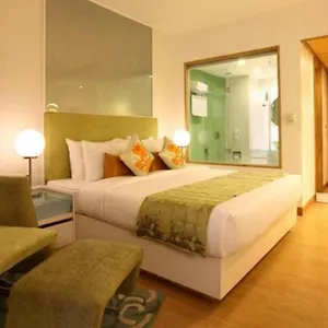 *** Hotel Olive Zone Near Delhi Airport India